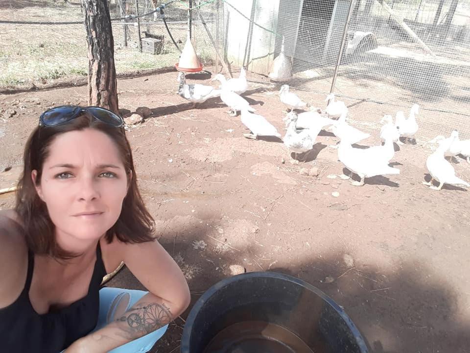 Le Gite Du Koniambo Voh Esterno foto